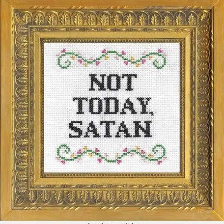 Subversive Cross Stitch Kit