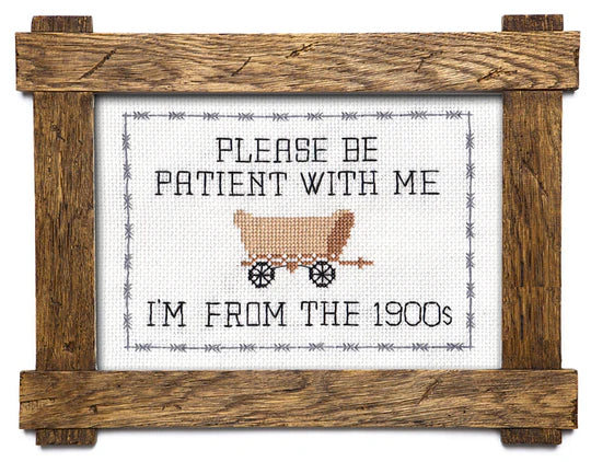 Subversive Cross Stitch Kit