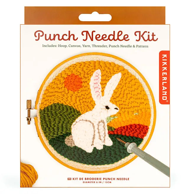 Mini Punch Needle Kit