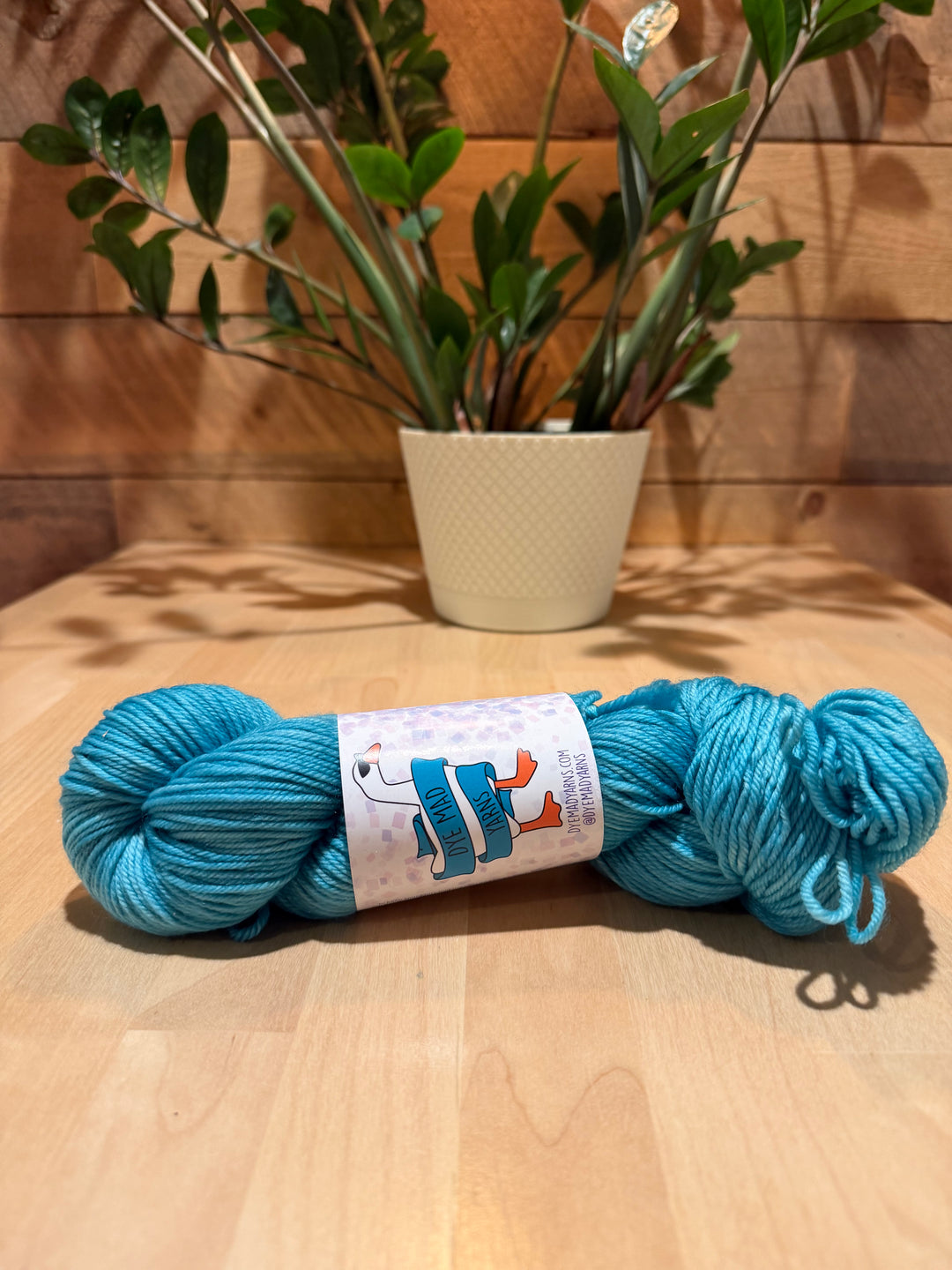 Dye Mad F*** DK Yarn