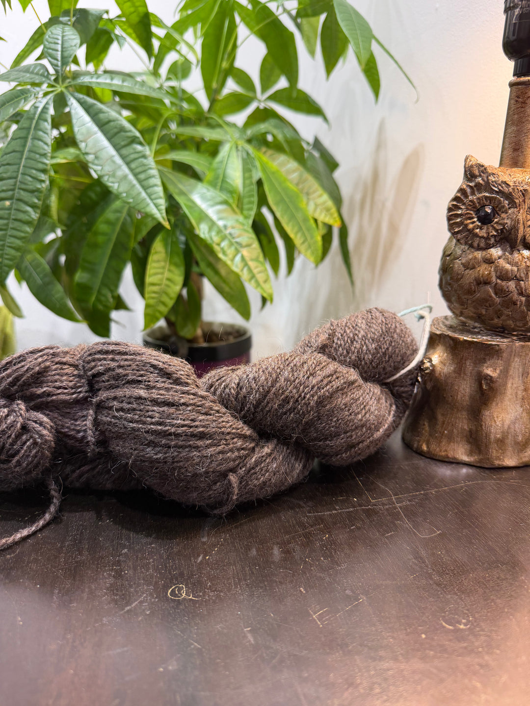 Thunder River Farm Local Alpaca Yarn