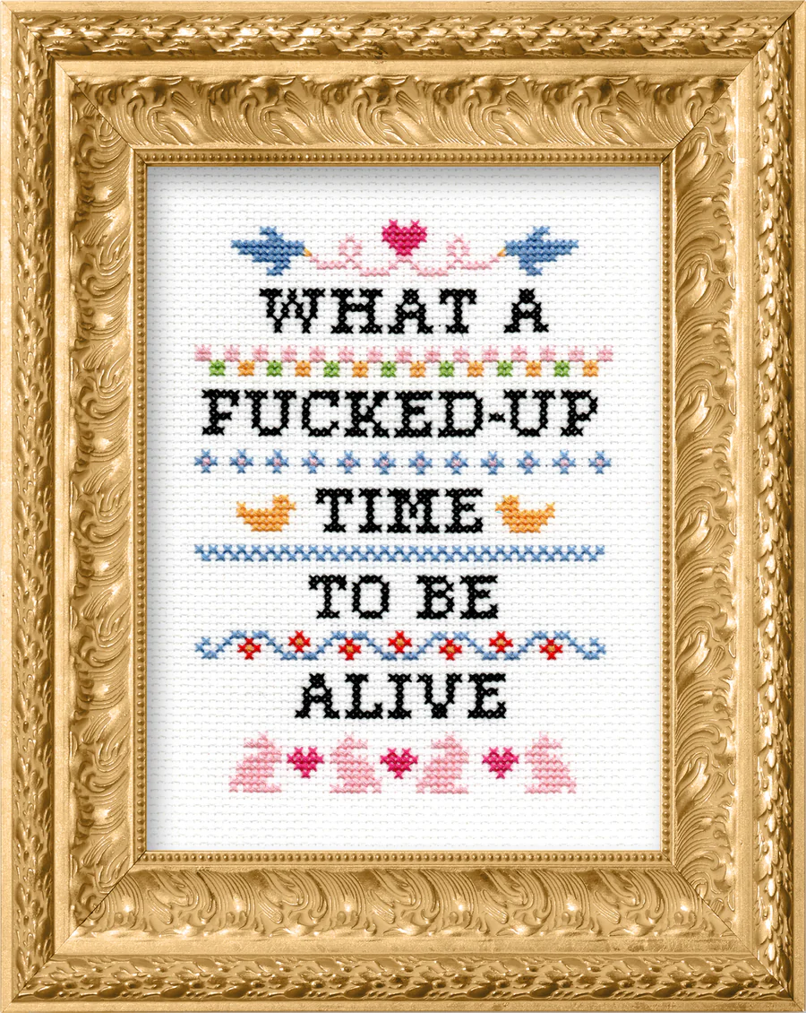 Subversive Cross Stitch Kit