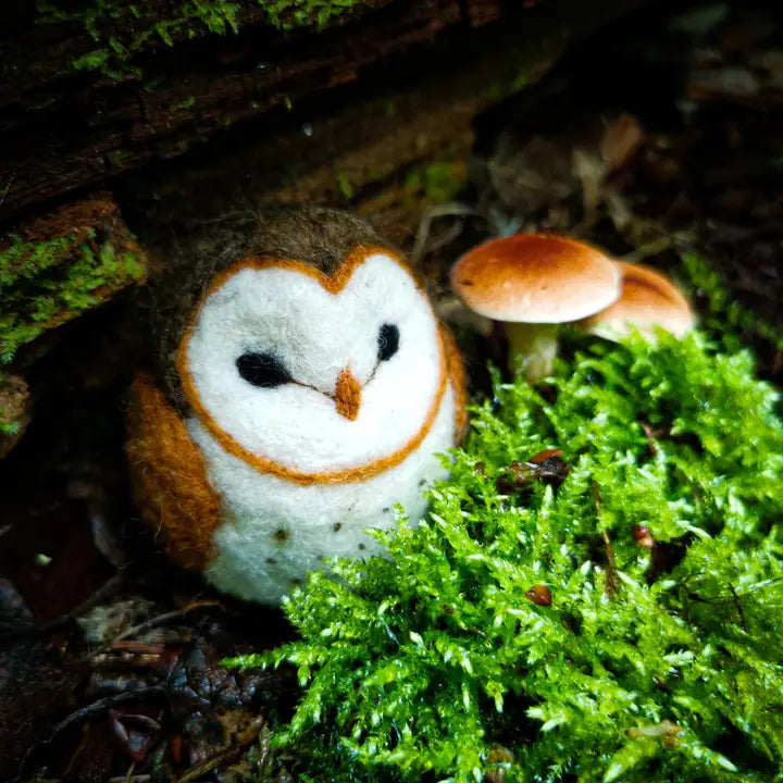 Wool Felting Kits