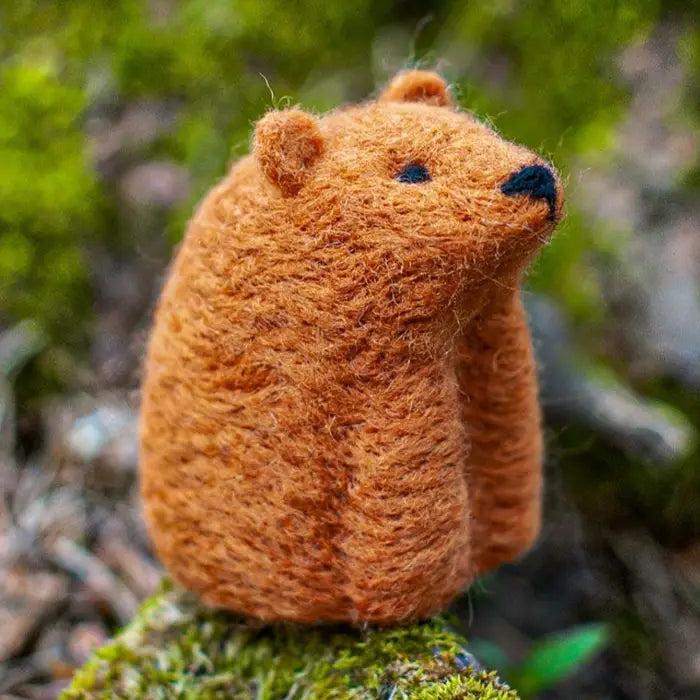 Wool Felting Kits