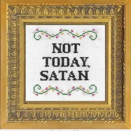 Subversive Cross Stitch Kit